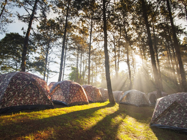 Transit Camp Installation